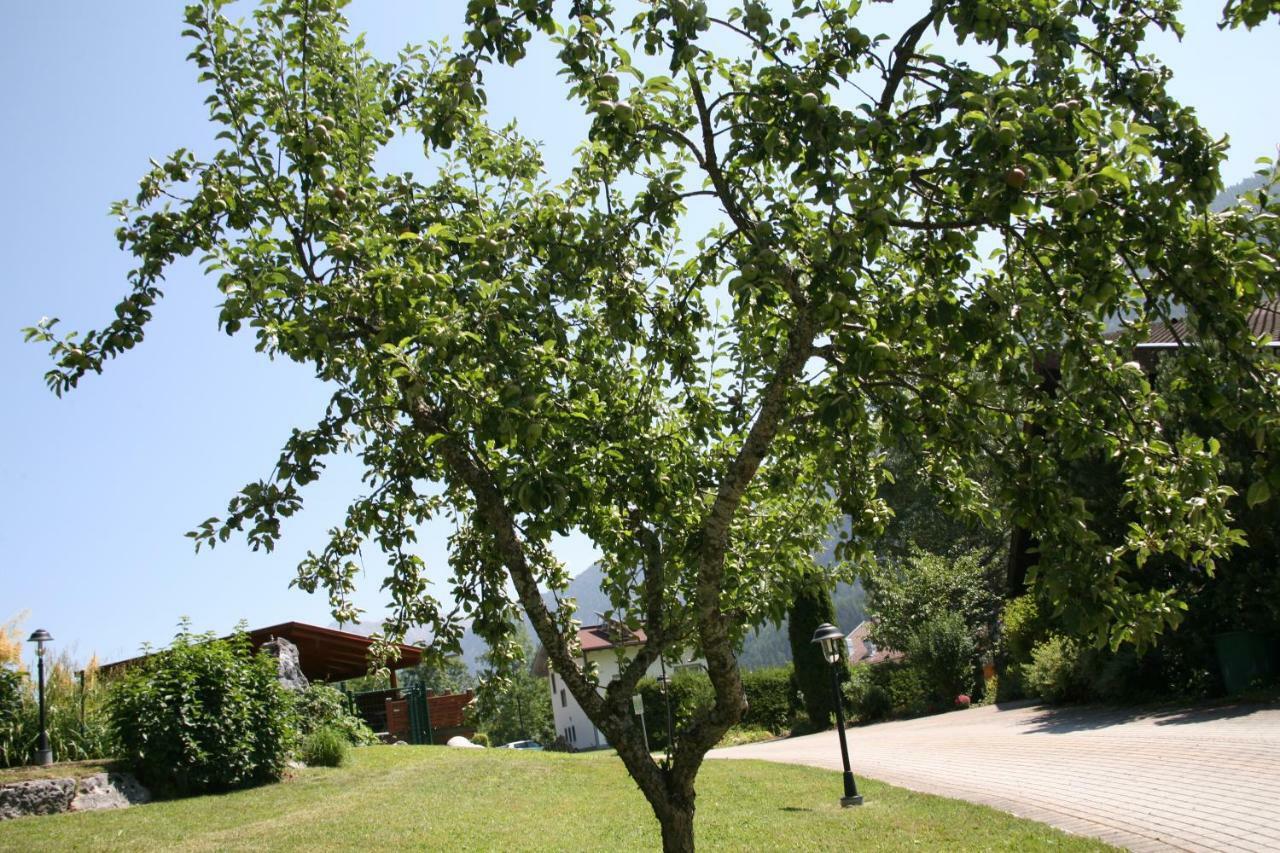 Haus Montana Apartment Elbigenalp Exterior photo